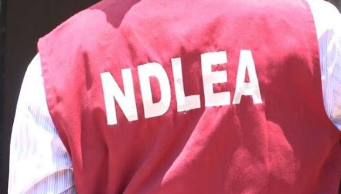 NDLEA Nabs 262 Illicit Drug Dealers in Edo