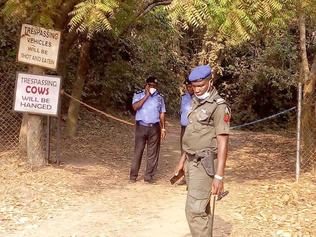 ‘Cows Strayed Into Soyinka’s Premises, Not Assassination Attempt’ – Police